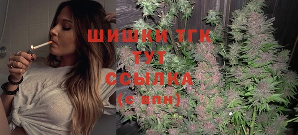 ГАЛЛЮЦИНОГЕННЫЕ ГРИБЫ Алексеевка
