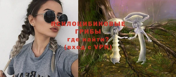 ГАЛЛЮЦИНОГЕННЫЕ ГРИБЫ Алексеевка