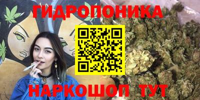 скорость Будённовск