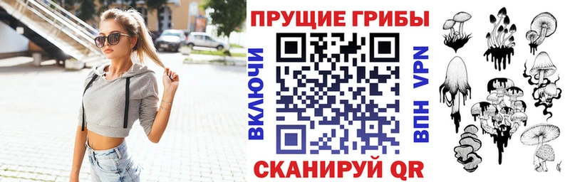 Галлюциногенные грибы Psilocybe shop какой сайт Ипатово