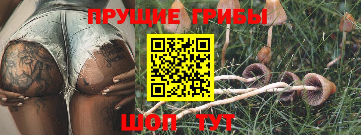 Ипатово  Галлюциногенные грибы ЛСД  Вход с VPN  Галлюциногенные грибы GOLDEN TEACHER 